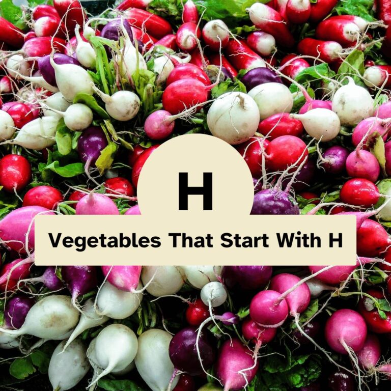 Vegetables That Start With H