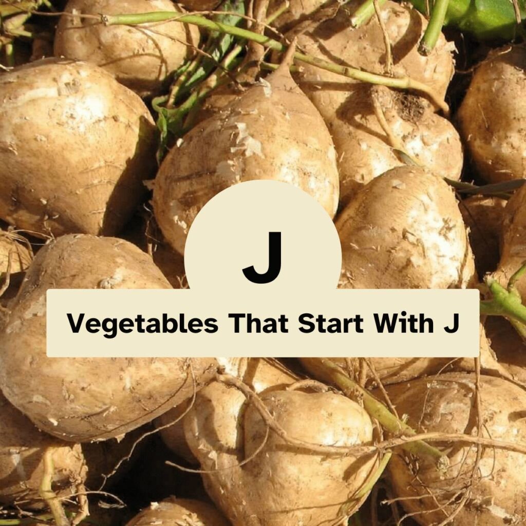 Vegetables That Start With J