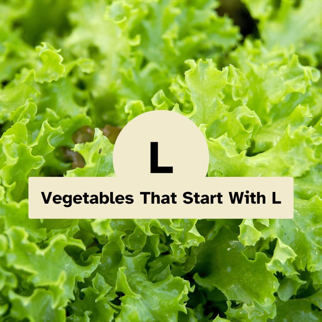 Vegetables That Start With L