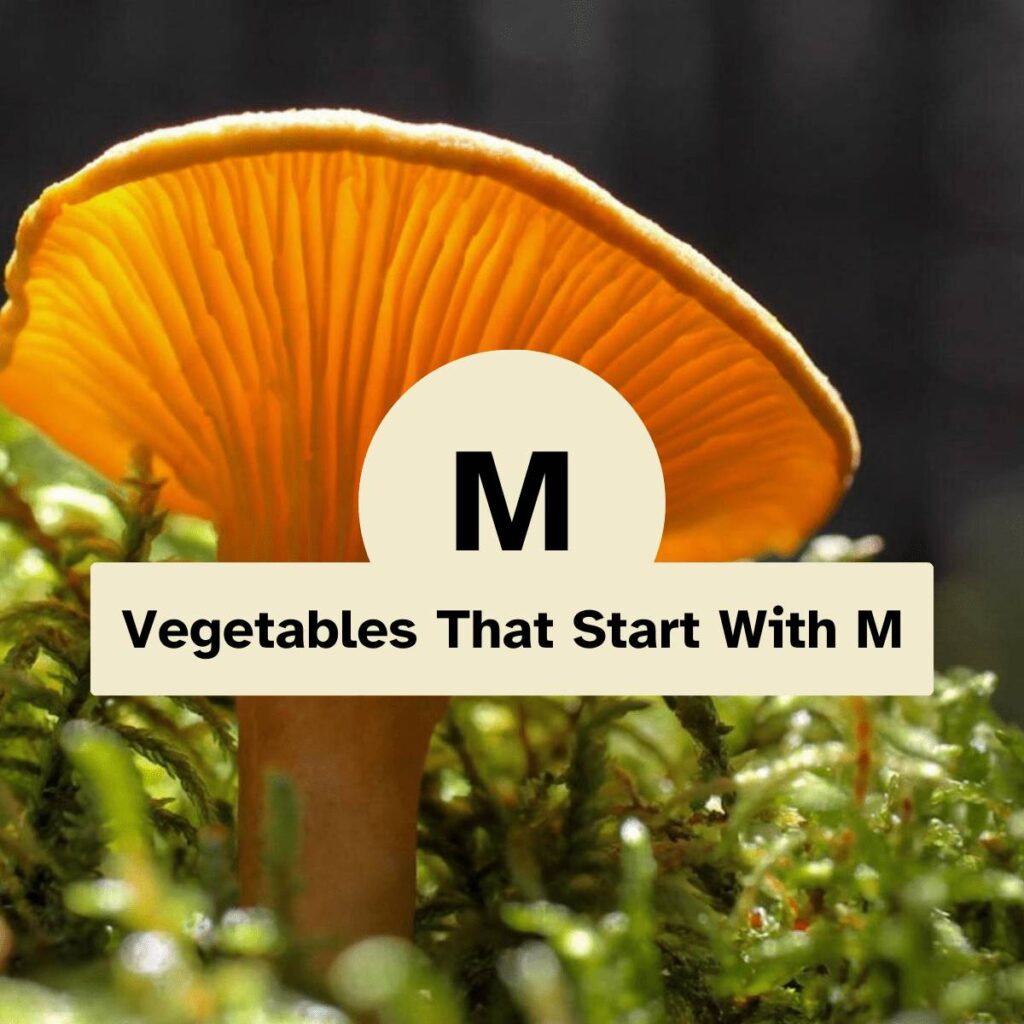 Vegetables That Start With M
