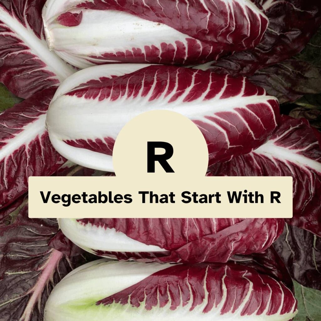 Vegetables That Start With R