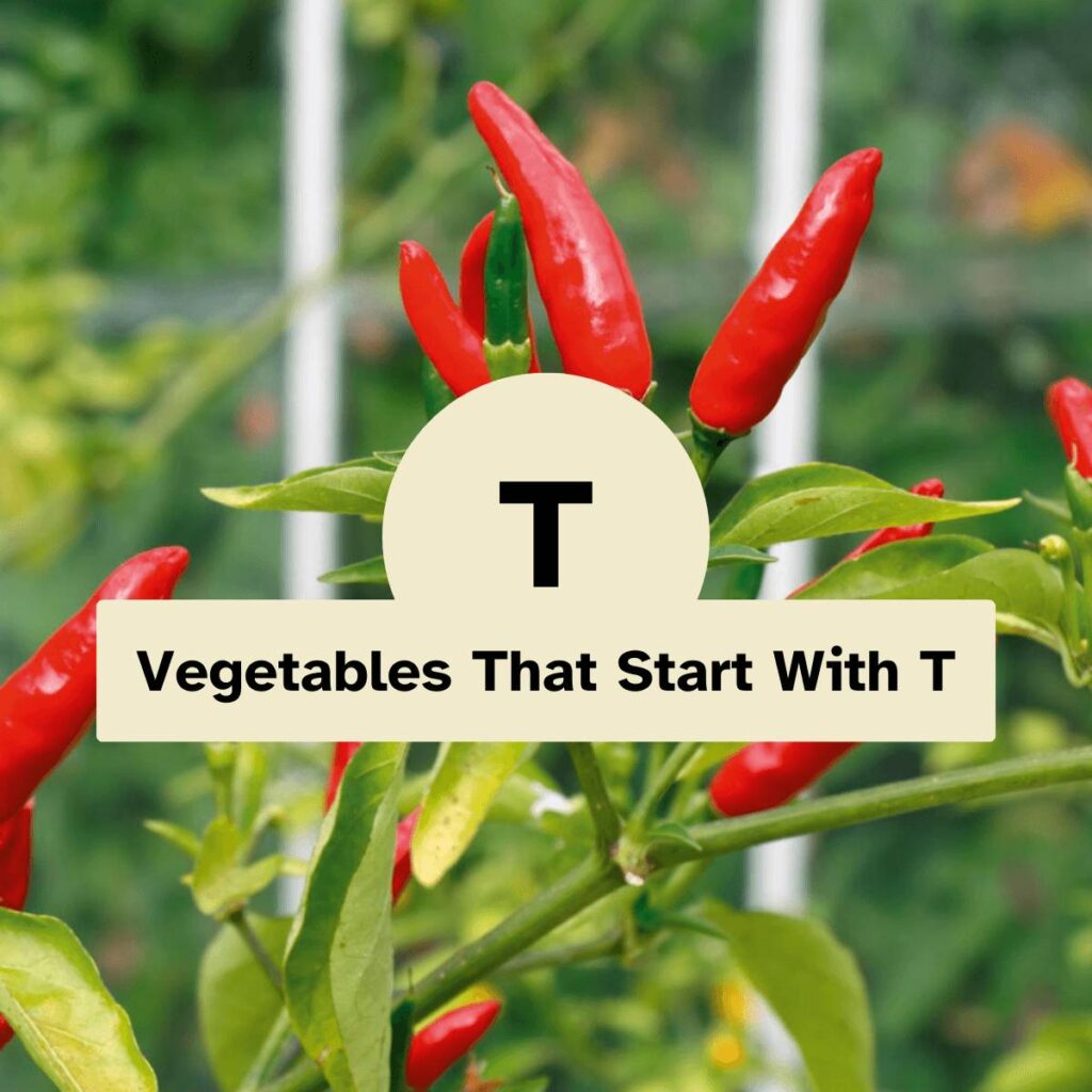Vegetables That Start With T