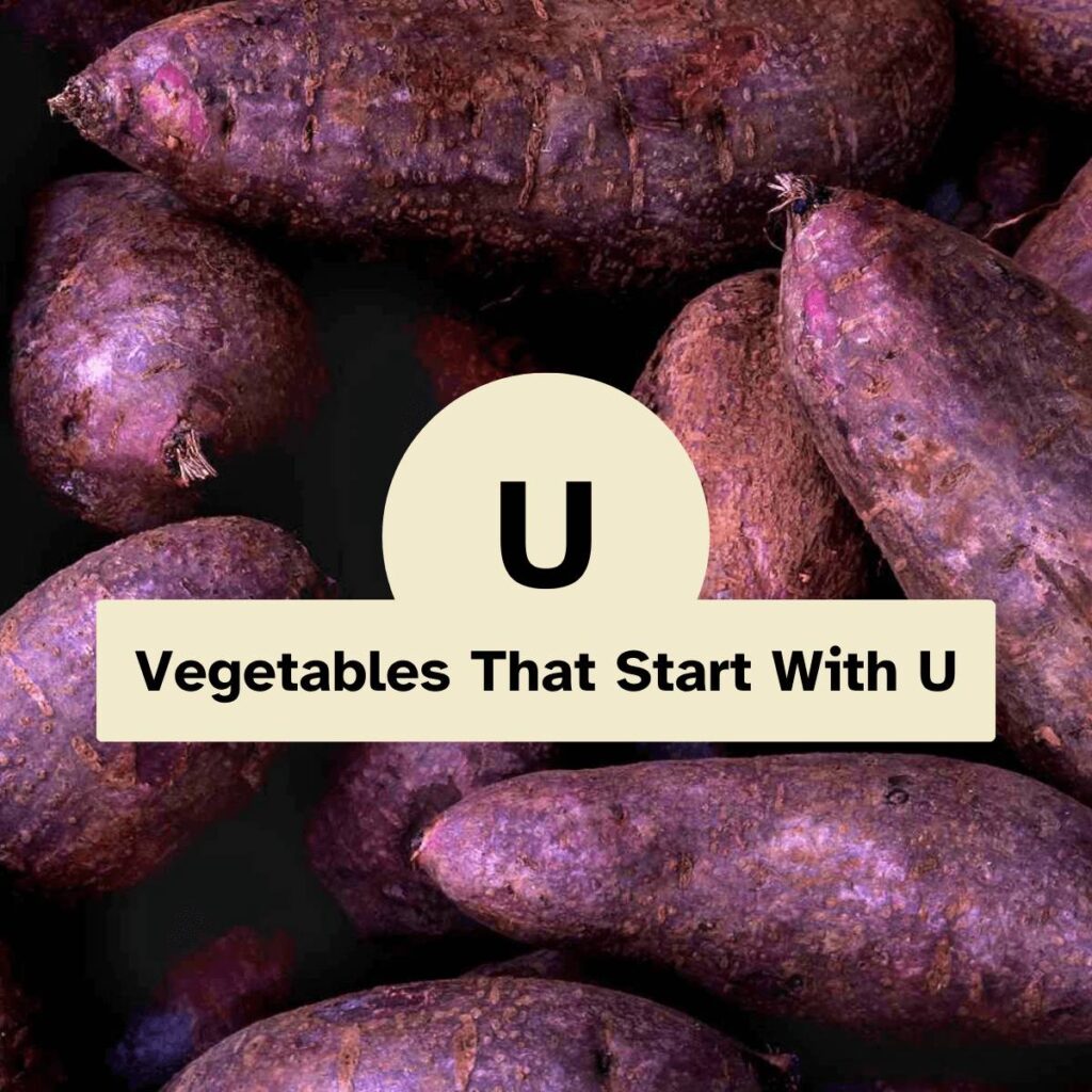Vegetables That Start With U