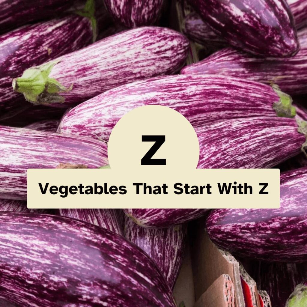 Vegetables That Start With Z